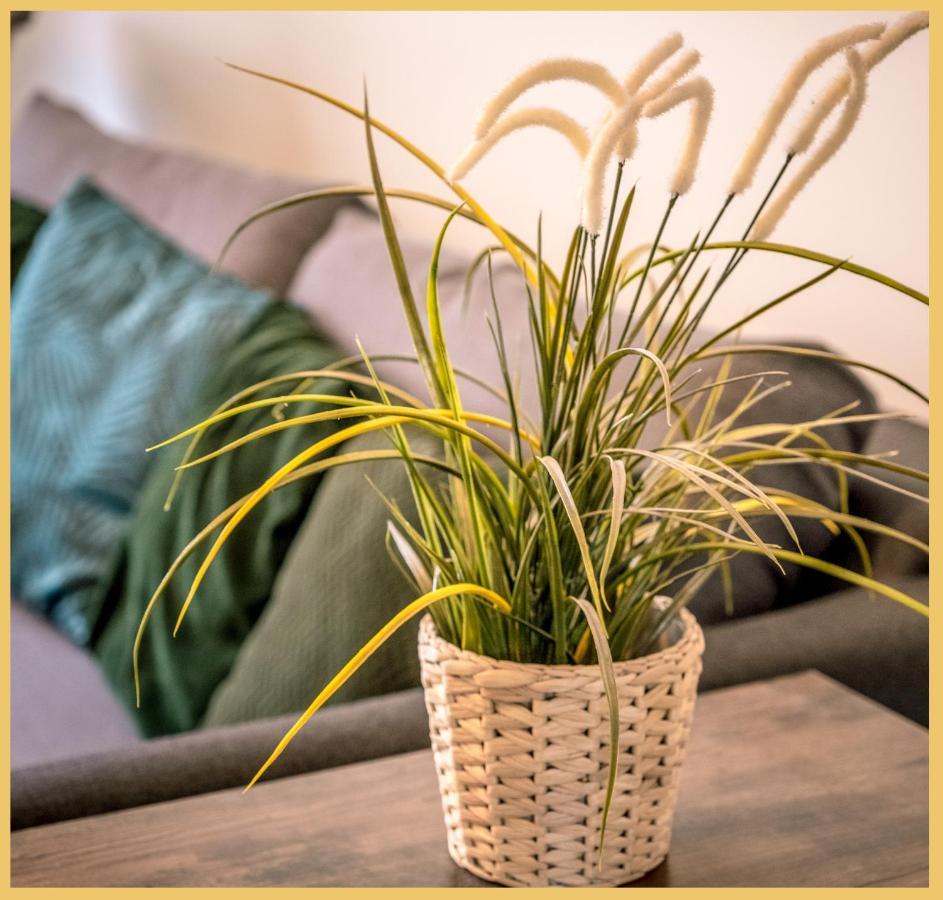 Appartement T3 I Cozy I Douvaine Exteriör bild