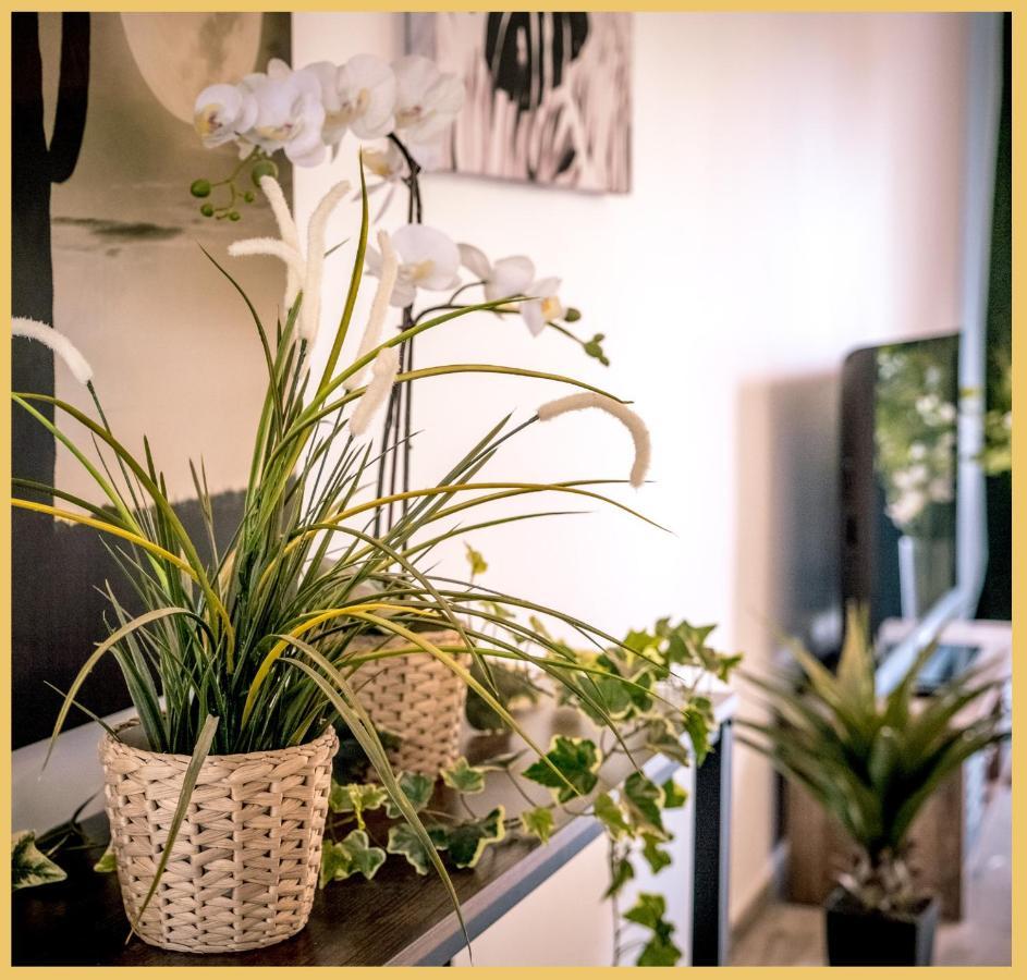 Appartement T3 I Cozy I Douvaine Exteriör bild